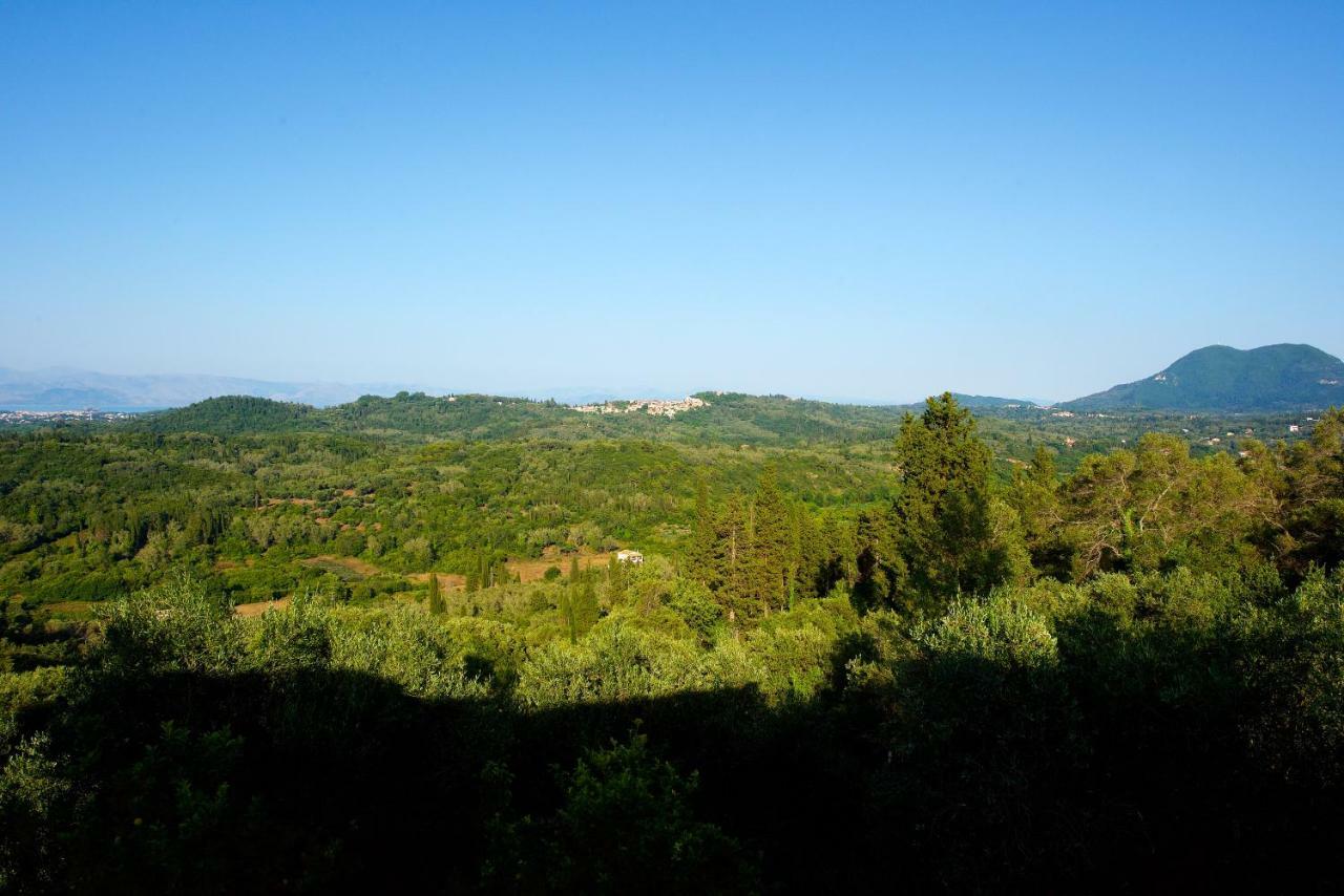 Aurora Apartment Corfu Pelekas Bagian luar foto