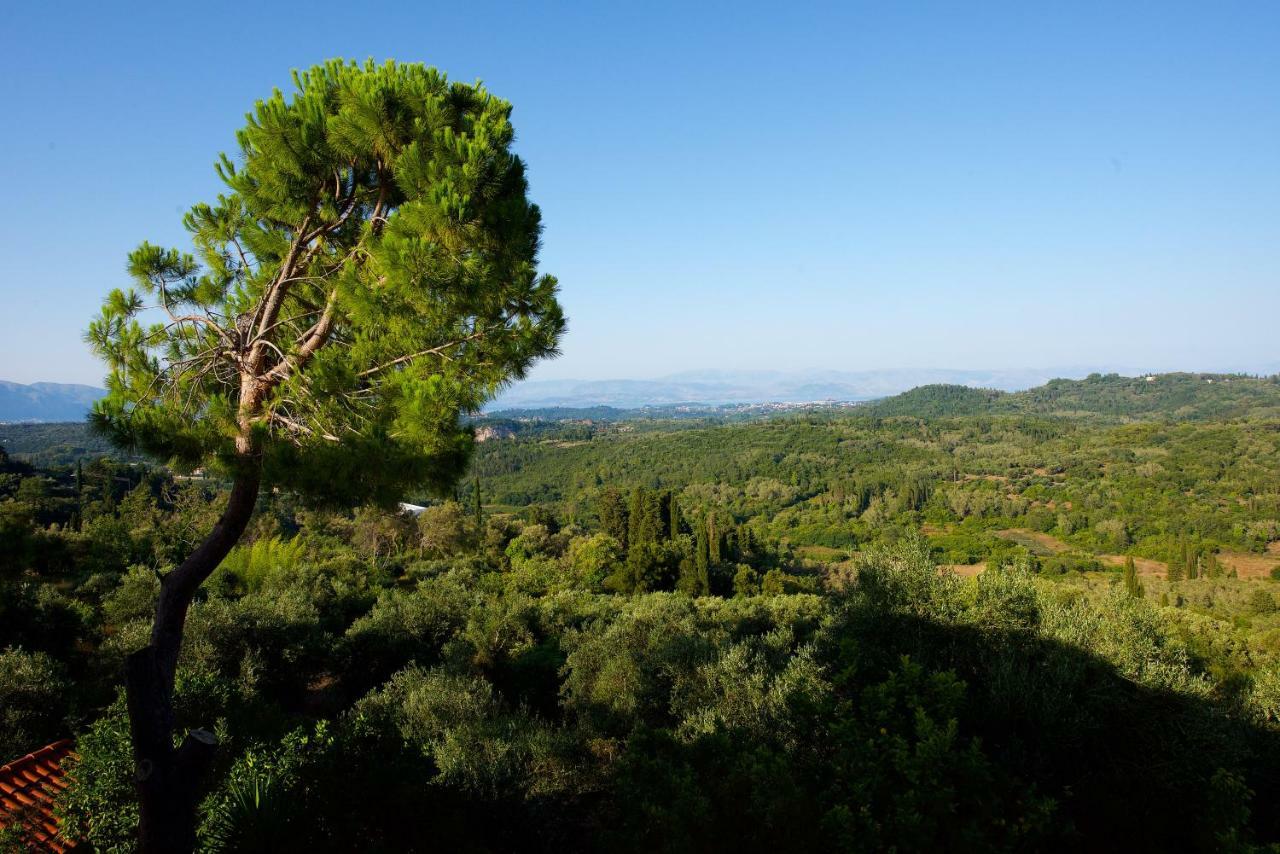 Aurora Apartment Corfu Pelekas Bagian luar foto